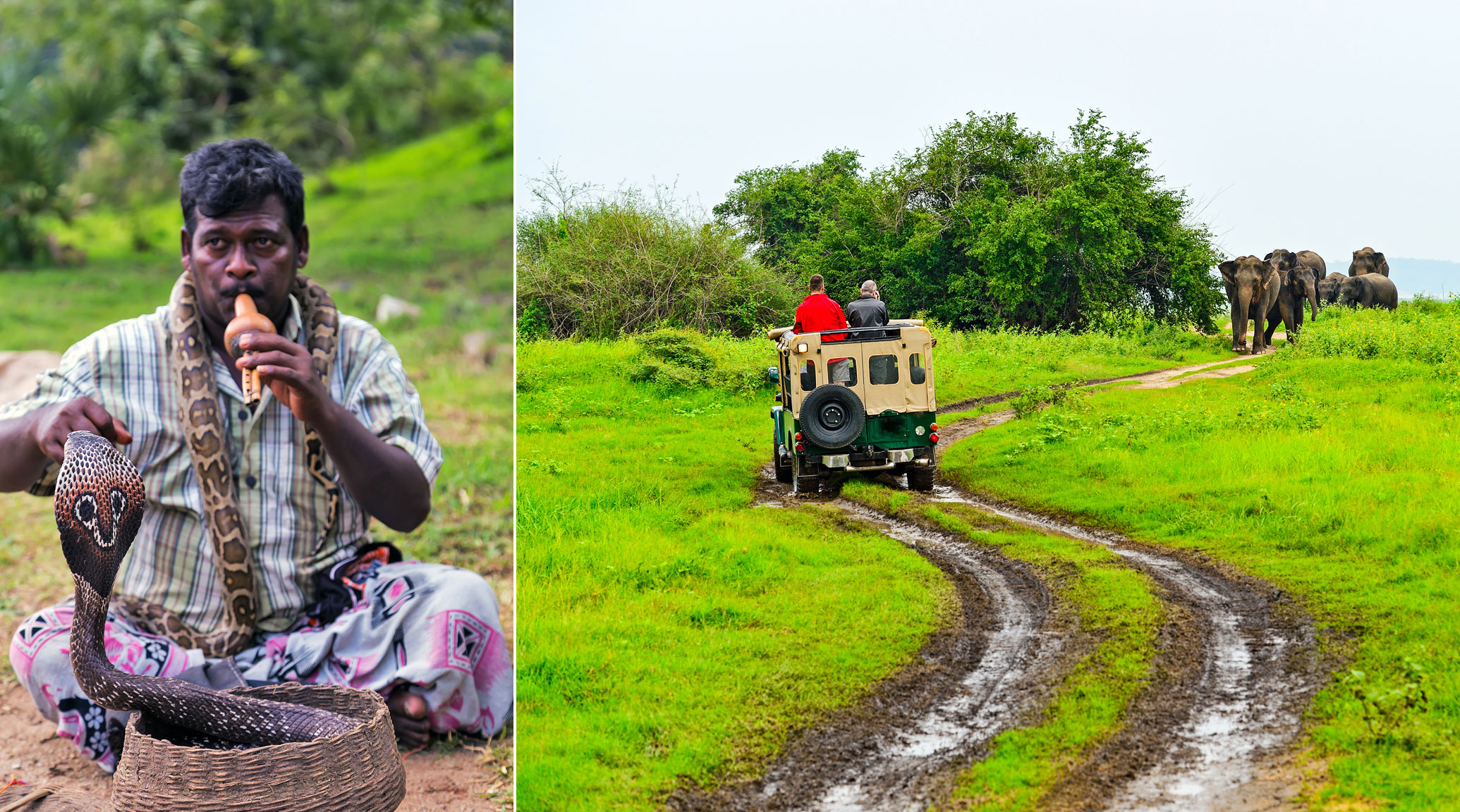 Travel Adventure