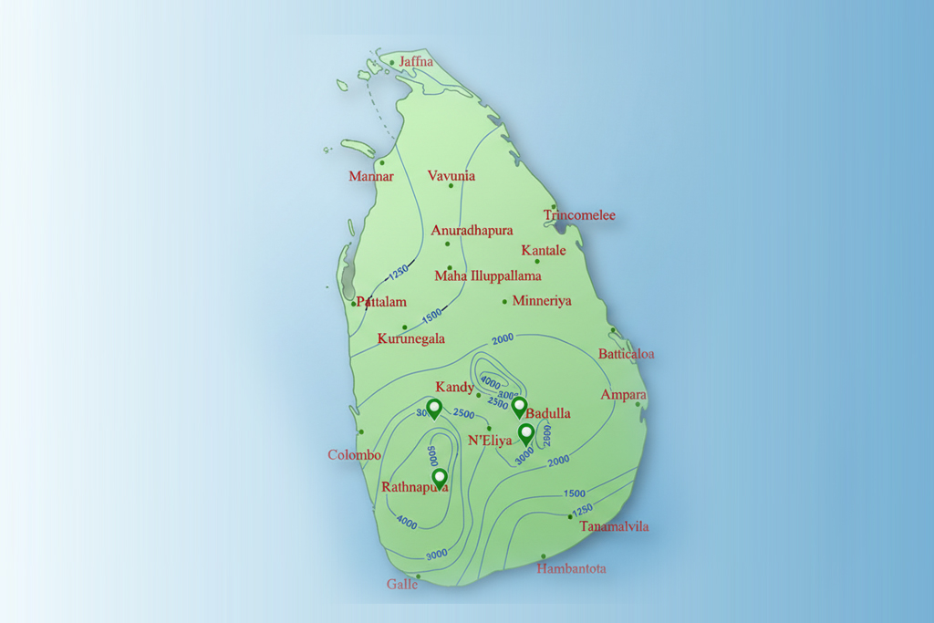 Sri Lanka & Maldives Adventures
